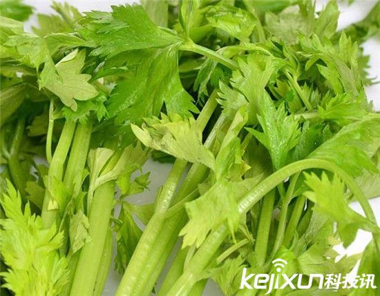 中國十大最臟果蔬排行 葡萄含有15種農藥成分! 中國十大最臟果蔬排行 葡萄含有15種農藥成分!